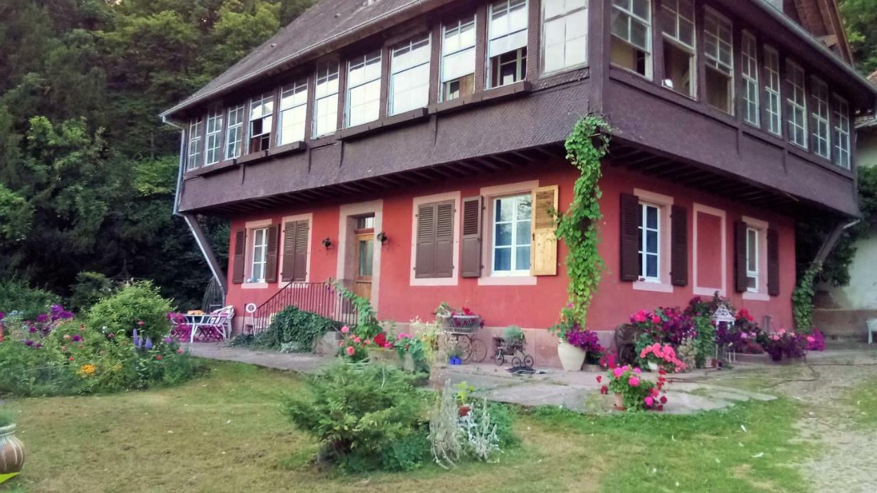 Gite "Cadichon" Munster  Eksteriør billede